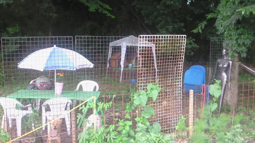 200907041522001.jpg