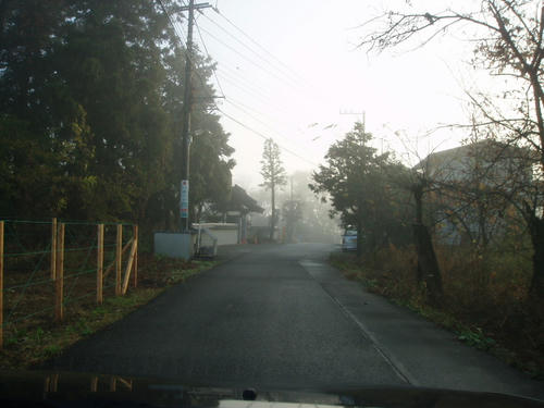 P1011321.JPG