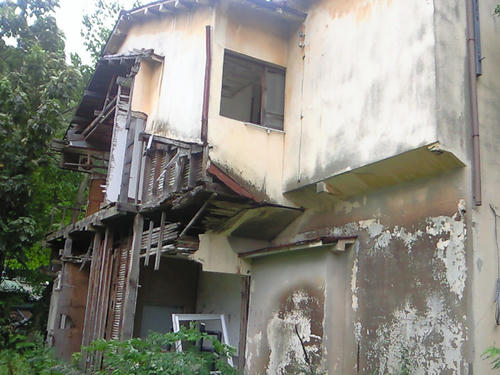 NEC_0282.JPG