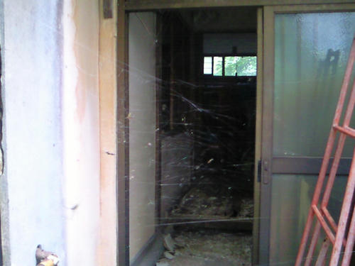 NEC_0295.JPG