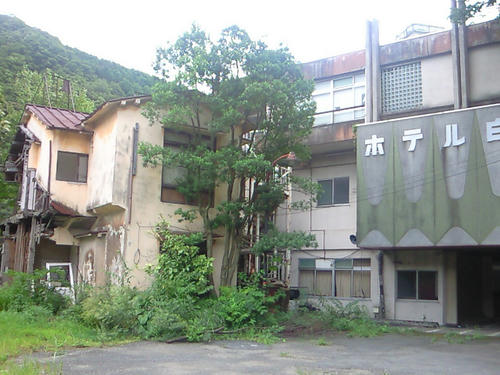 NEC_0308.JPG