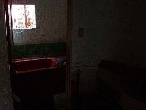 PA142232.jpg