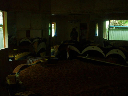 PA142235.jpg
