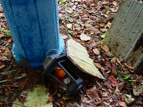PA142260.jpg