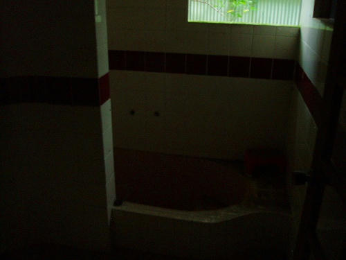 PA142277.jpg