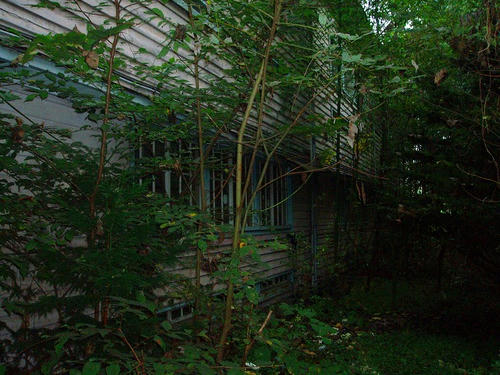 P1011136.jpg