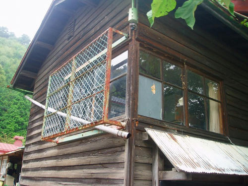 P1011139.jpg