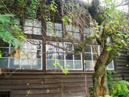 P1011140.jpg