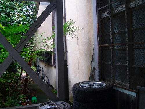 P1011145.jpg