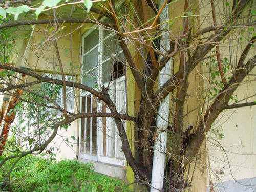P1011155.jpg