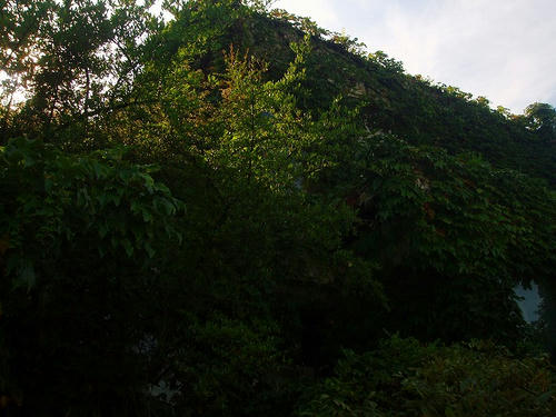 P1010221.jpg