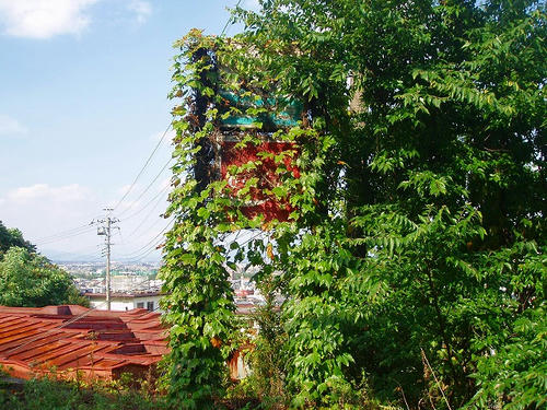 P1010224.jpg
