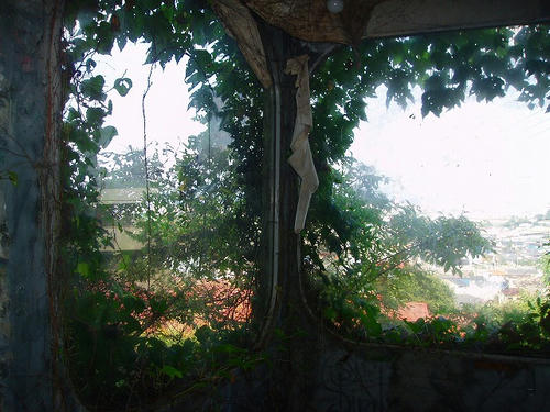 P1010244.jpg