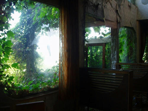 P1010250.jpg