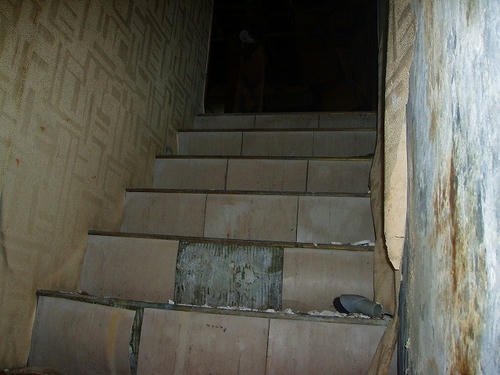 P1010258.jpg