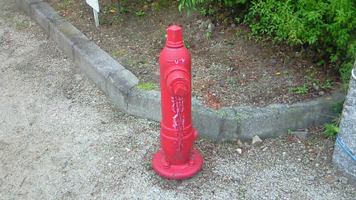 200907211435002.jpg