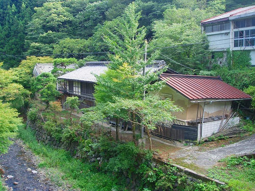 P1010141.jpg