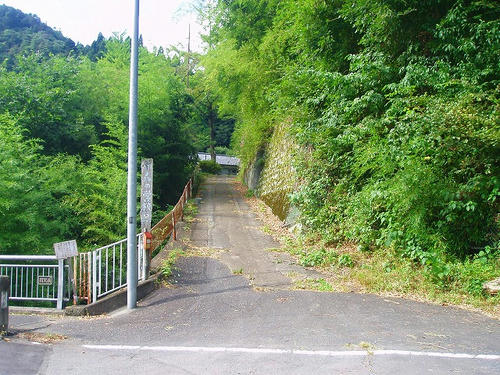 P1010143.jpg