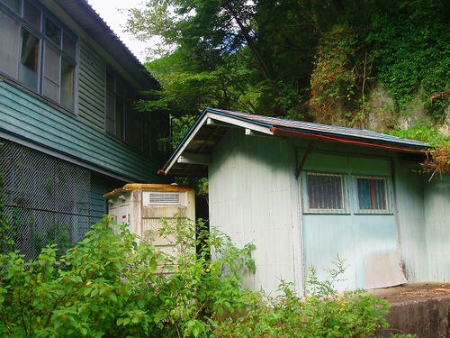 P1010147.jpg
