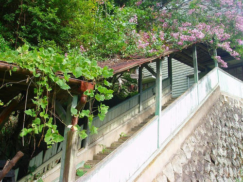 P1010149.jpg