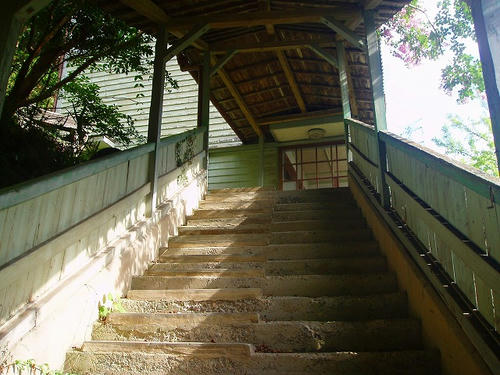 P1010150.jpg