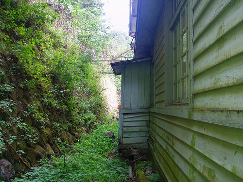 P1010154.jpg