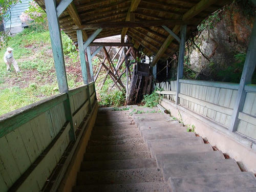 P1010156.jpg