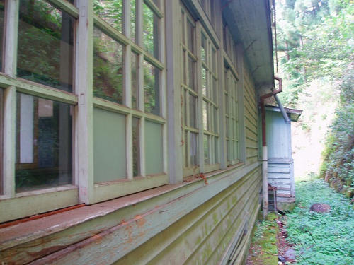 P1010161.jpg
