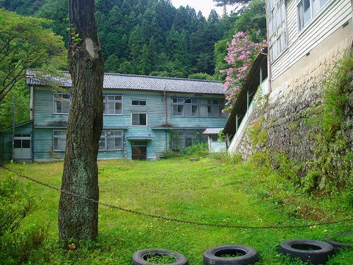 P1010164.jpg