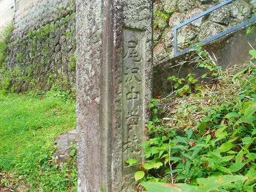 P1010166.jpg