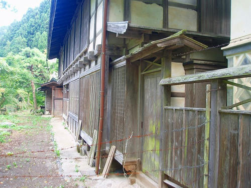 P1010169.jpg