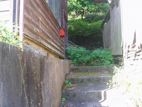 P1010181.jpg