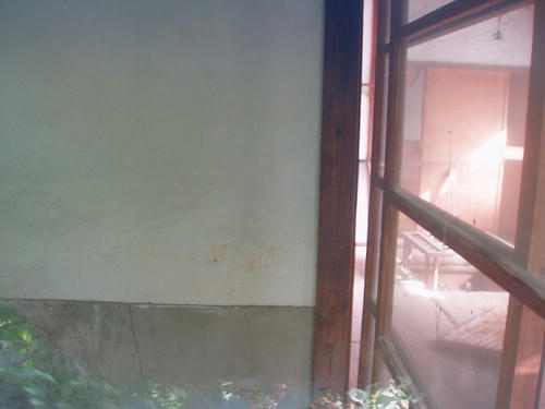 P1010184.jpg