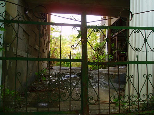 P1012424.jpg