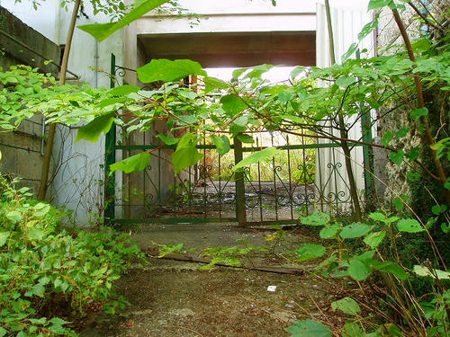 P1012426.jpg
