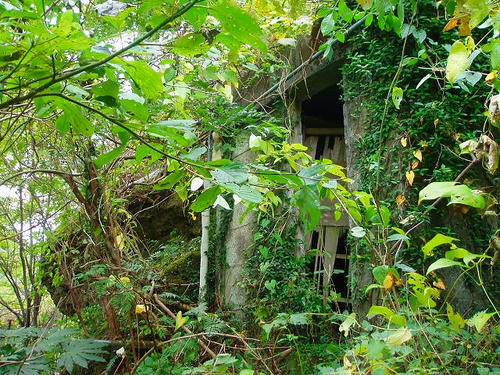P1012427.jpg