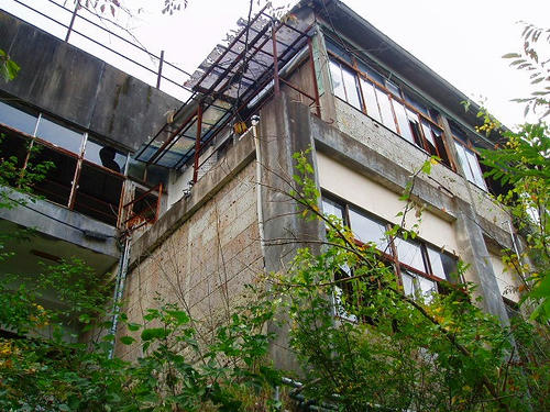 P1012430.jpg