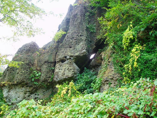 P1012431.jpg