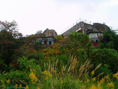 P1012437.jpg