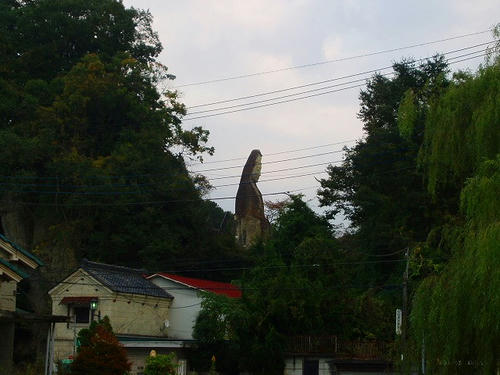 P1012439.jpg