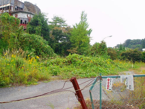P1012440.jpg