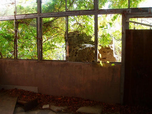 P1012327.jpg
