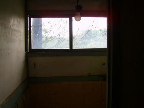 P1012378.jpg