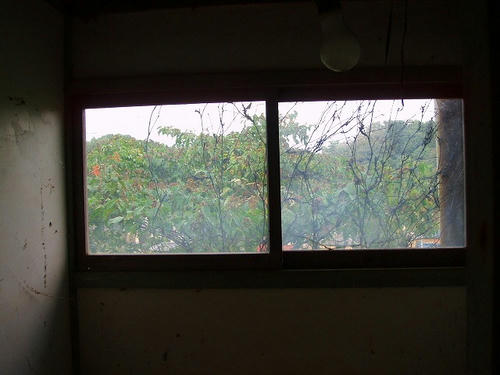 P1012381.jpg