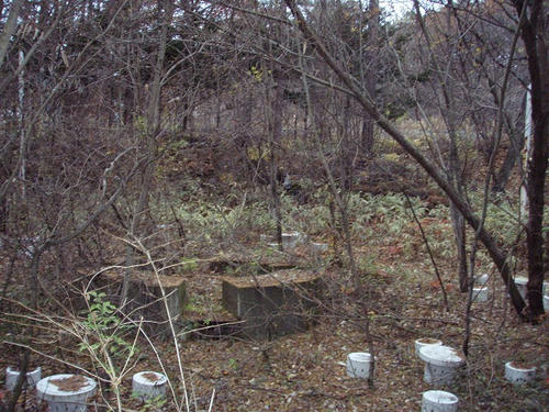 PB090008.jpg