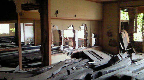 NEC_0035.jpg