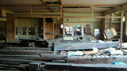 NEC_0050.jpg