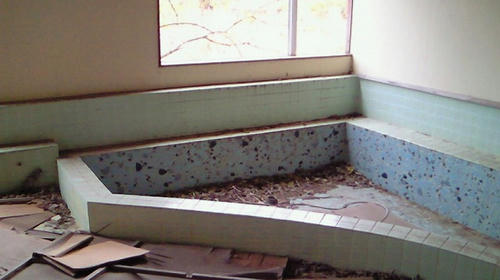 NEC_0032.jpg