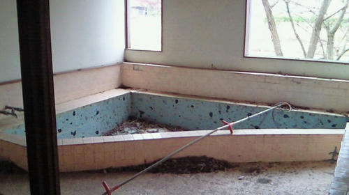 NEC_0033.jpg