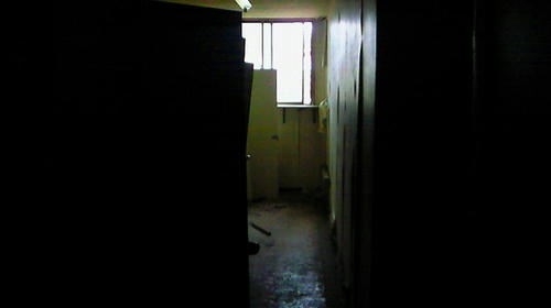 NEC_0040.jpg
